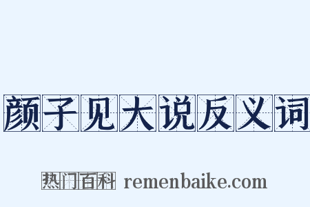 颜子见大说反义词是什么意思的图片